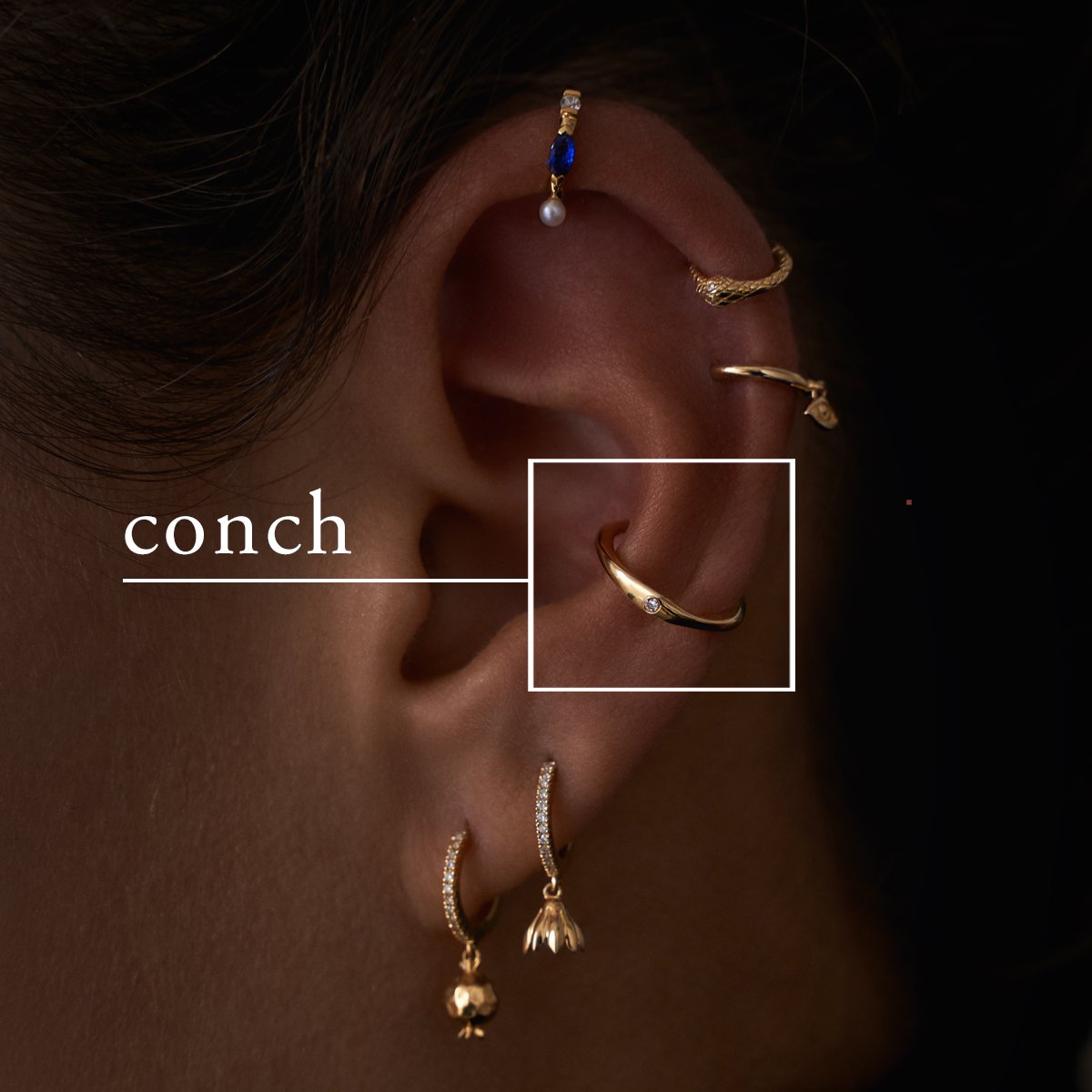 Conch Piercing Jewelry
