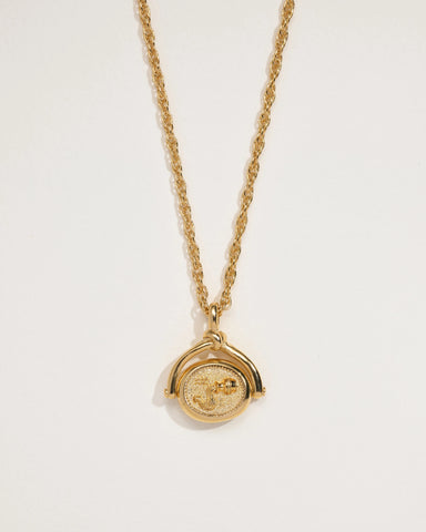 Aquarius Spinner Pendant