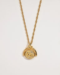 Capricorn Spinner Pendant