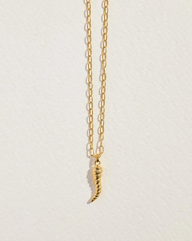 Horn Pendant
