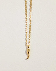Horn Pendant