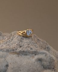 Julia Ring